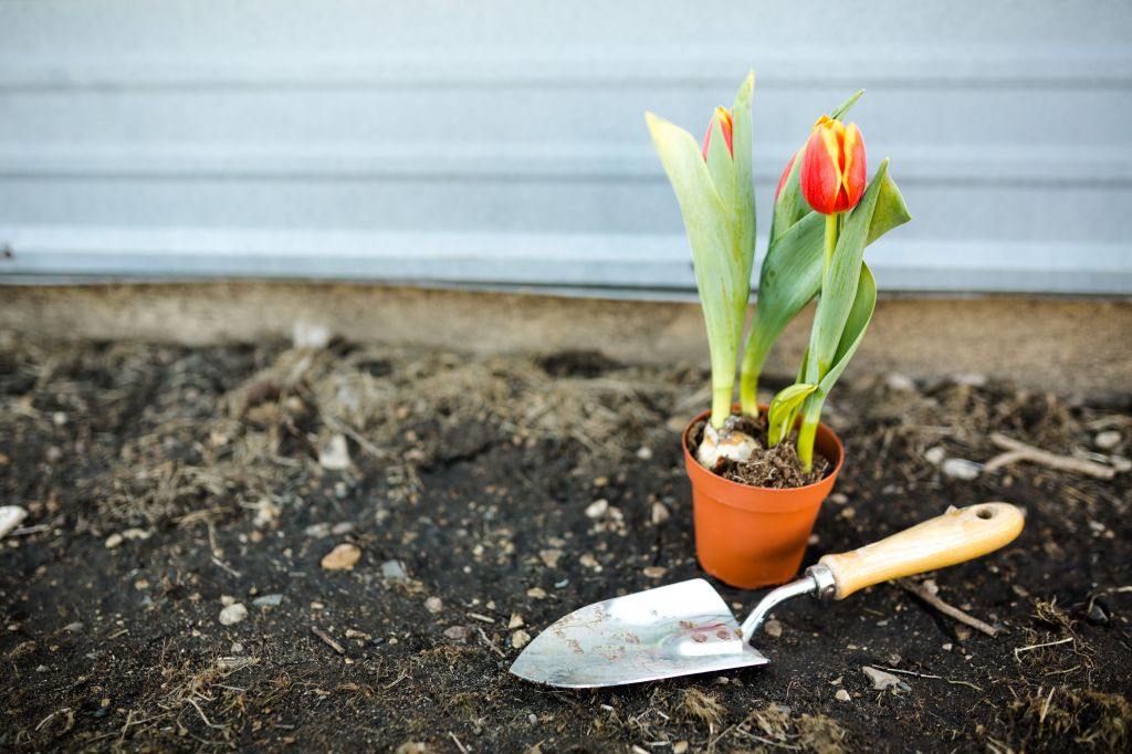 Deciding vs. Committing