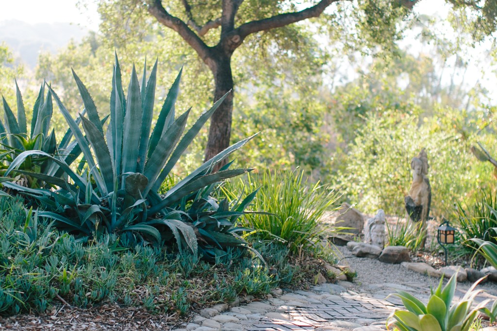 Process Negative Emotions