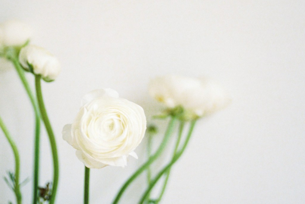 Productivity Tip: Reduce the&nbsp;Scope