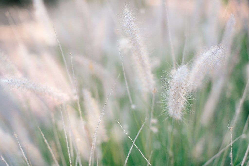 Change Requires Healing